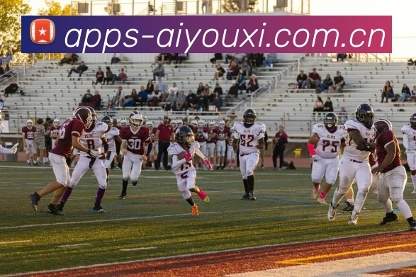 爱游戏官网APP 封面图